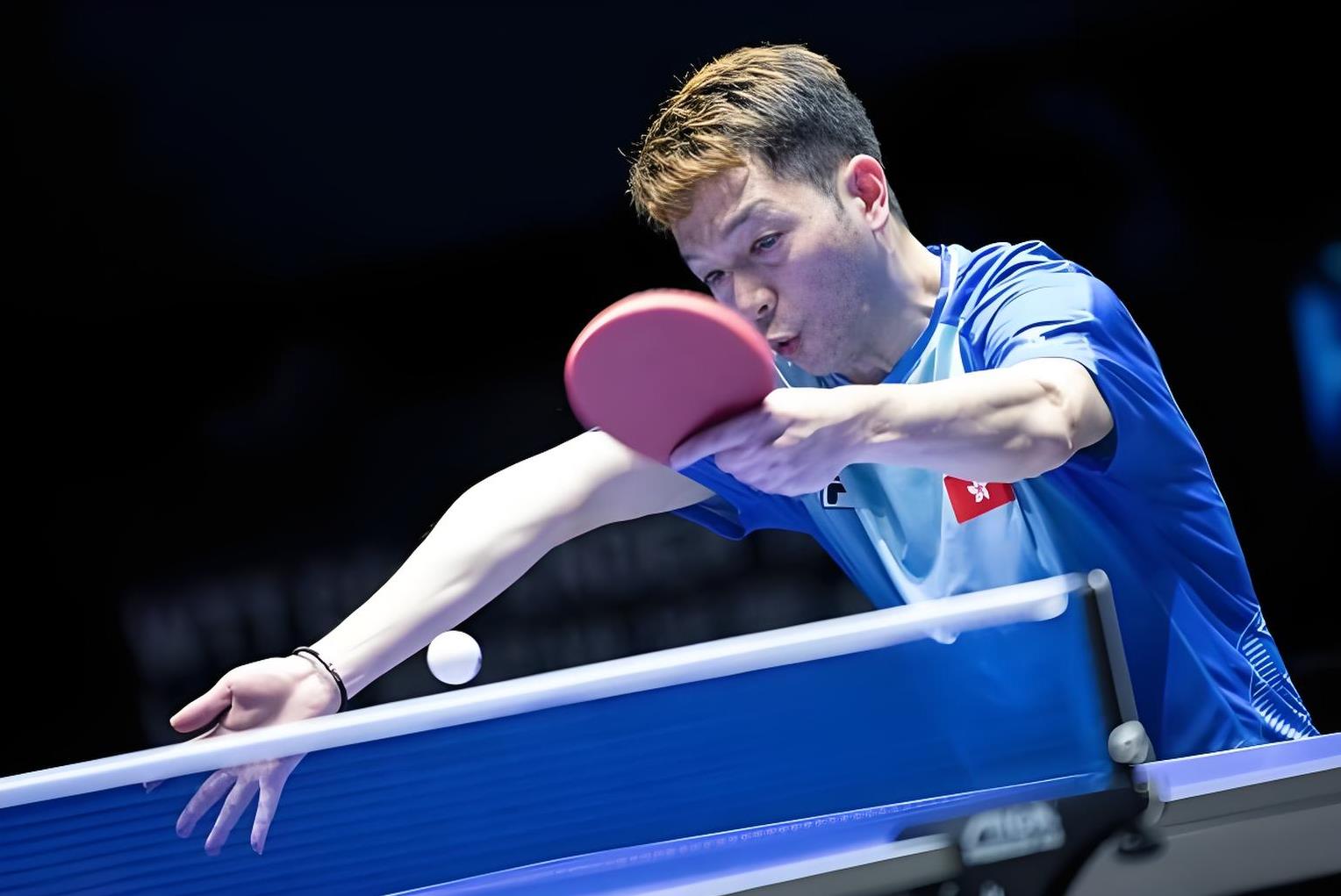 纷纷亮相赛场,球员实力获大众认可的简单介绍 纷纷亮相赛场,球员实力获大众认可的简单介绍