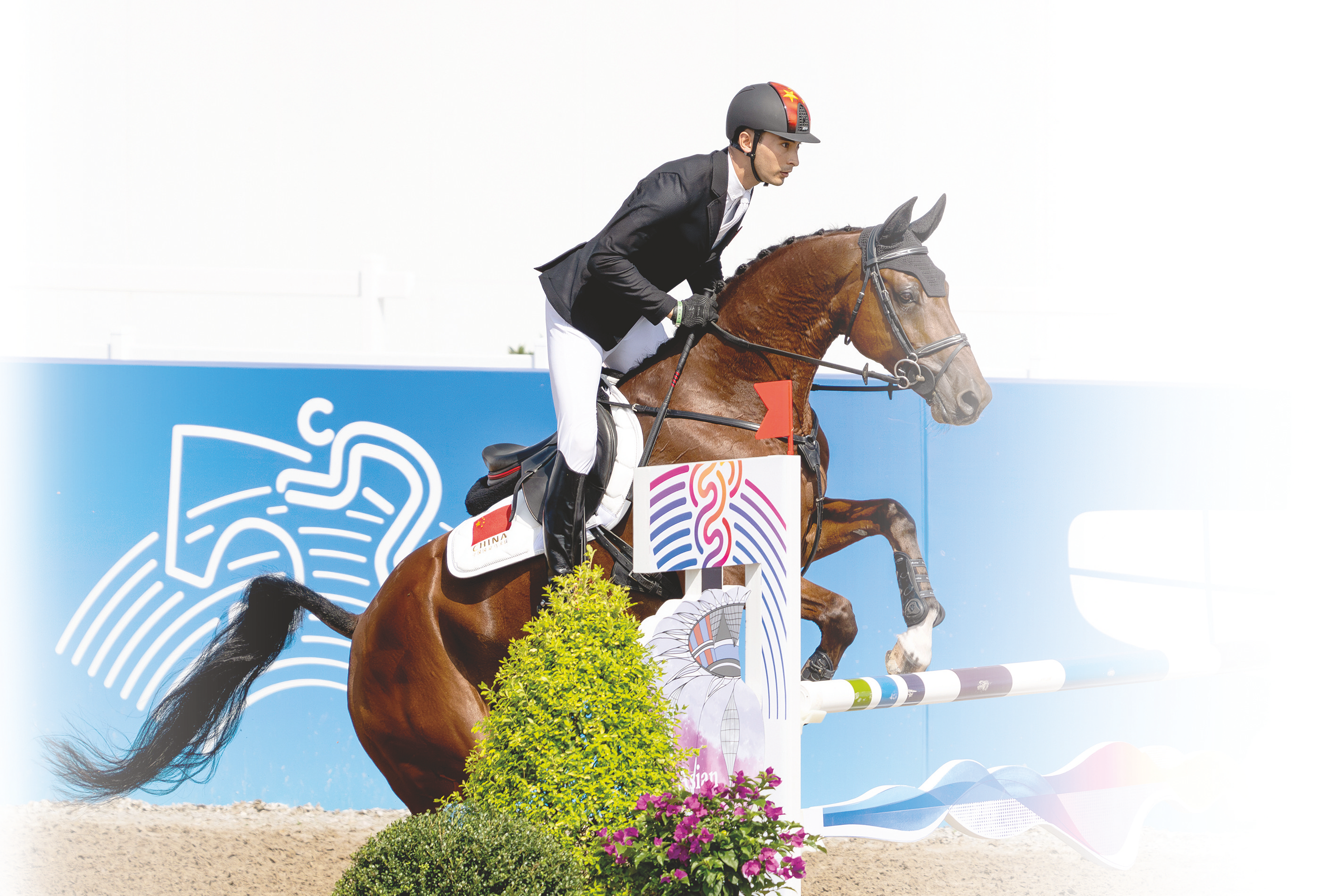 关于马术比赛：德国选手表现出众获得团体冠军的信息