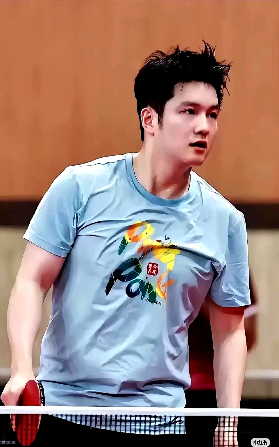 比利时乒乓球队爆冷瑞典乒乓球队，樊振东绝境逆转的简单介绍