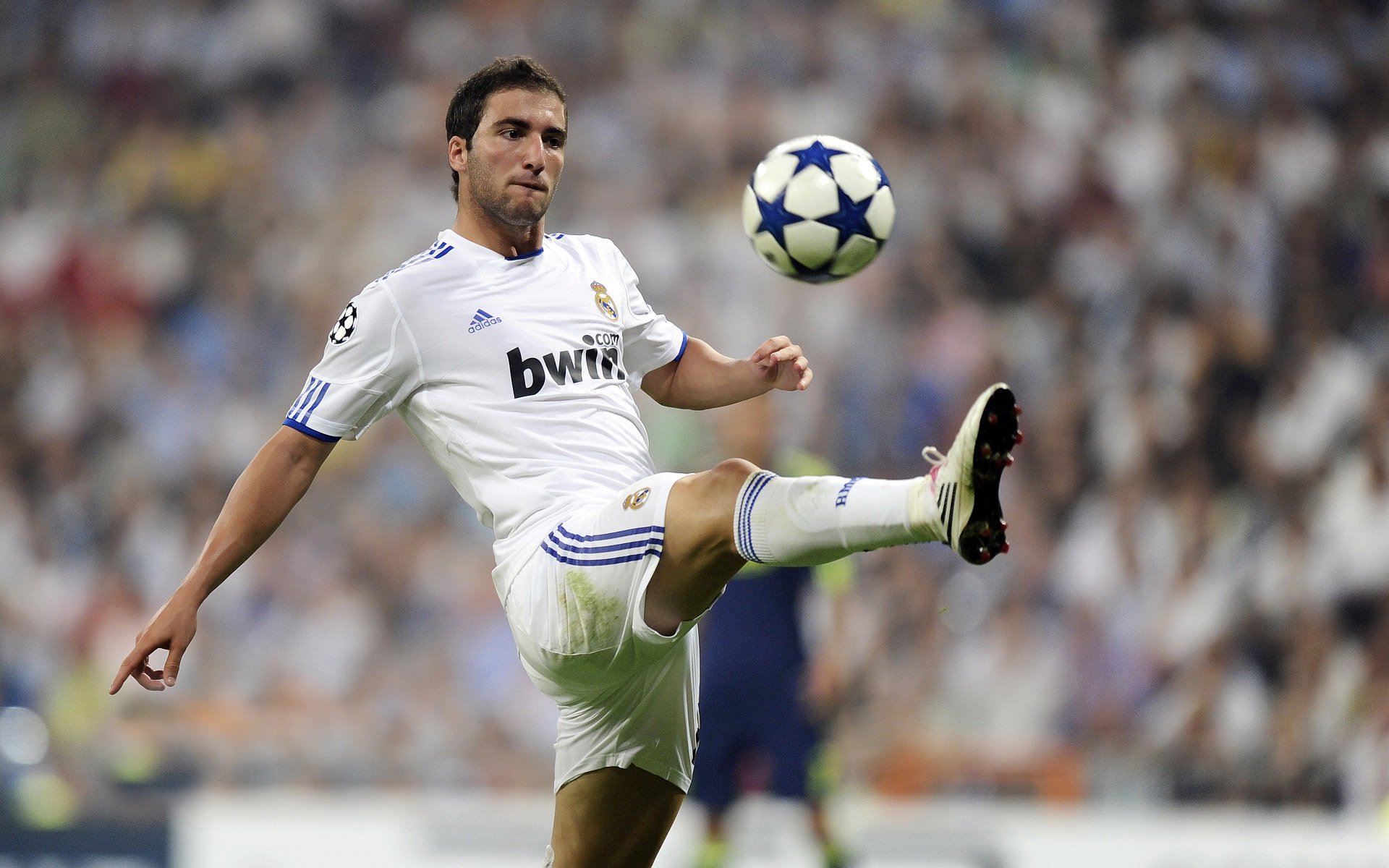 新疆队制霸黄蜂,布克成为关键先生